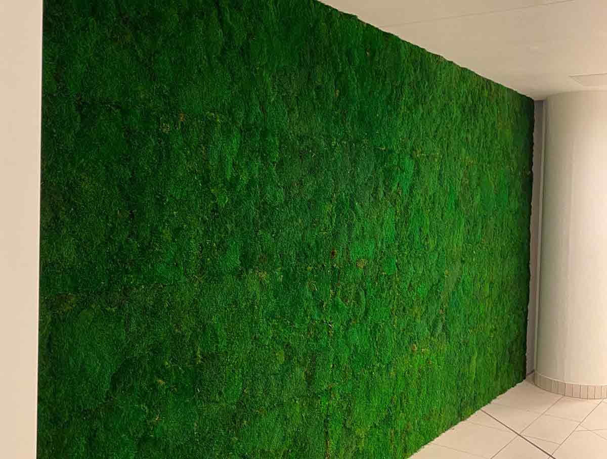 Eine Gr ne Wand Marienplatz Galerie Schwerin